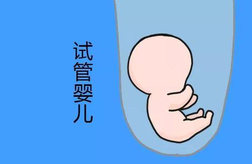 首席专家
